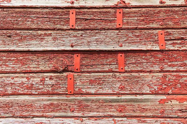 Wilson, Emily M. 아티스트의 Latah-Washington State-USA-Peeling red paint on a weathered old barn작품입니다.